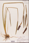 000003179-thumbnail.jpg
