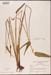 000003182-thumbnail.jpg