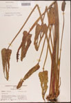 000003192-thumbnail.jpg