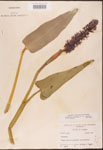 000003194-thumbnail.jpg