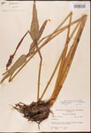 000003207-thumbnail.jpg