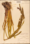 000003208-thumbnail.jpg