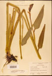 000003209-thumbnail.jpg