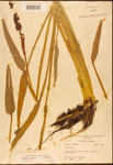 000003210-thumbnail.jpg