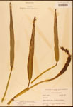 000003211-thumbnail.jpg