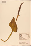 000003214-thumbnail.jpg