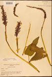 000003216-thumbnail.jpg