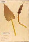 000003218-thumbnail.jpg