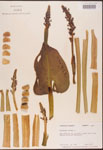000003219-thumbnail.jpg