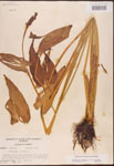 000003220-thumbnail.jpg