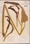 000003221-thumbnail.jpg
