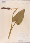 000003222-thumbnail.jpg