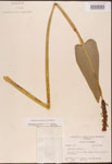 000003223-thumbnail.jpg