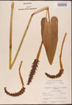 000003224-thumbnail.jpg