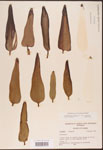 000003231-thumbnail.jpg