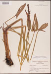 000003232-thumbnail.jpg