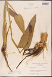 000003237-thumbnail.jpg