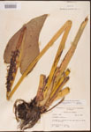 000003238-thumbnail.jpg