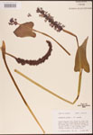 000003240-thumbnail.jpg