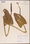 000003241-thumbnail.jpg