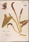 000003242-thumbnail.jpg