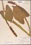 000003247-thumbnail.jpg