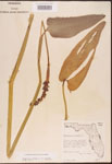 000003253-thumbnail.jpg