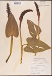 000003254-thumbnail.jpg