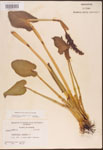 000003256-thumbnail.jpg