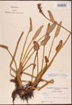 000003259-thumbnail.jpg