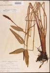 000003260-thumbnail.jpg