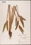 000003261-thumbnail.jpg
