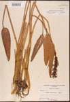 000003267-thumbnail.jpg