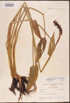 000003269-thumbnail.jpg