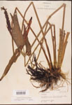 000003270-thumbnail.jpg