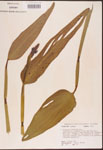 000003271-thumbnail.jpg