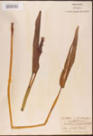 000003273-thumbnail.jpg