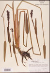000003274-thumbnail.jpg