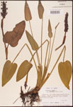 000003275-thumbnail.jpg