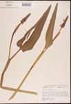 000003278-thumbnail.jpg