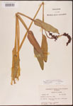 000003279-thumbnail.jpg