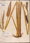 000003280-thumbnail.jpg