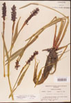 000003281-thumbnail.jpg