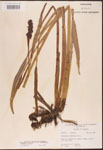 000003282-thumbnail.jpg