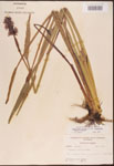 000003283-thumbnail.jpg