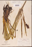 000003284-thumbnail.jpg