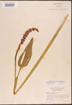 000003286-thumbnail.jpg