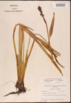 000003290-thumbnail.jpg