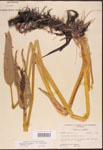 000003293-thumbnail.jpg