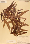000003304-thumbnail.jpg